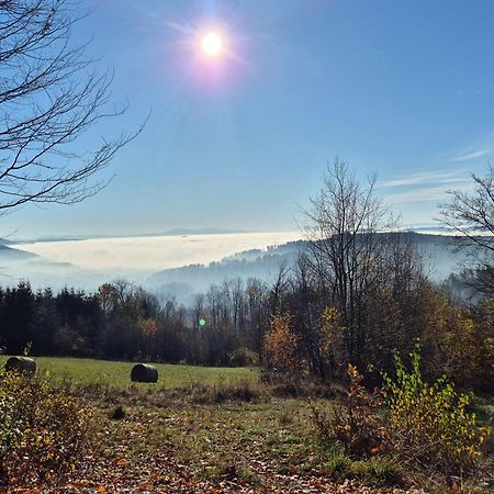 Apartament Mountains Gory Sowie Jugów Buitenkant foto